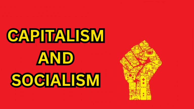 Is a Mix of Capitalism and Socialism the Future?