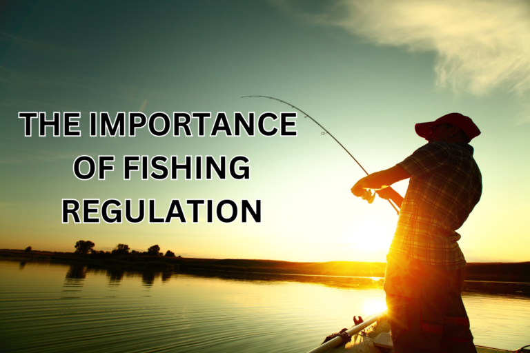 The Importance of Fishing Regulation: