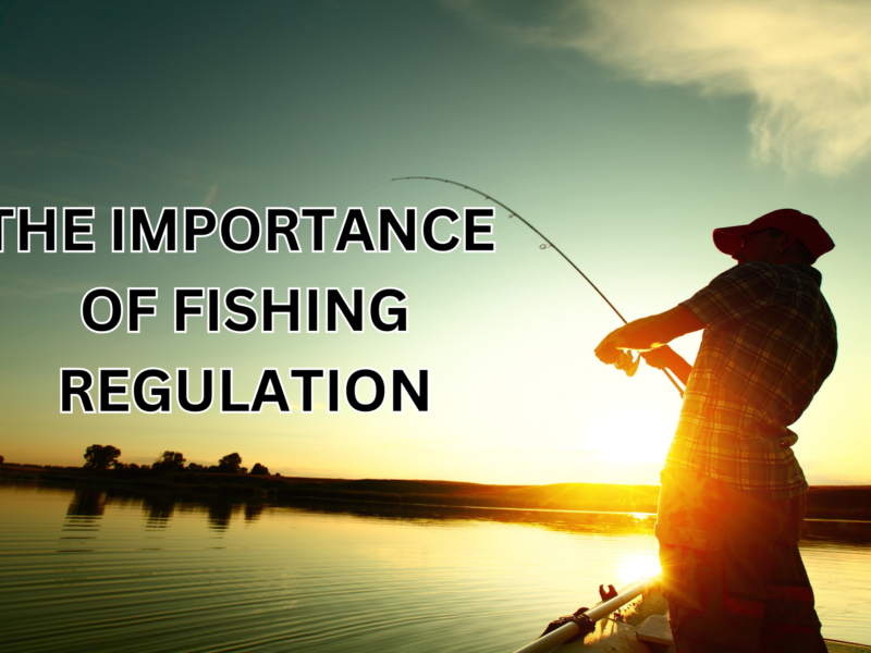 The Importance of Fishing Regulation: